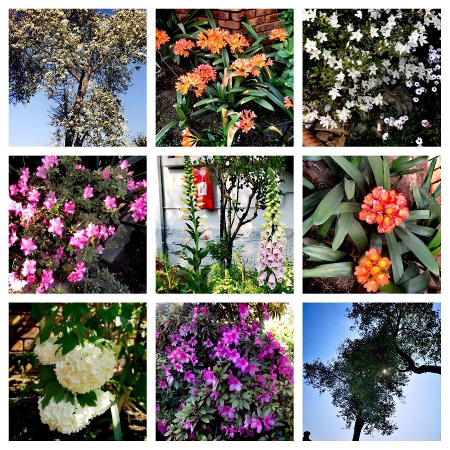 Van Dykshuis Guest House ไฮเดิลแบร์ค ภายนอก รูปภาพ