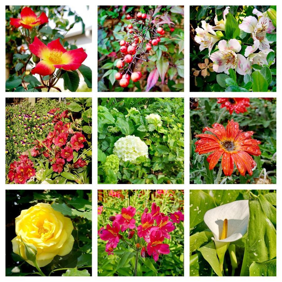 Van Dykshuis Guest House ไฮเดิลแบร์ค ภายนอก รูปภาพ